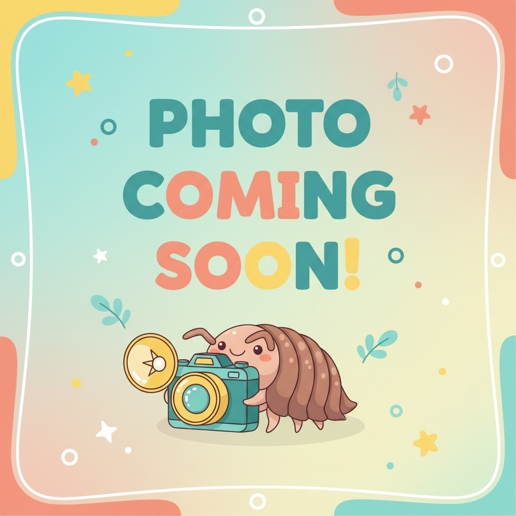 Fun Photo Coming Soon placeholder