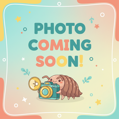 Fun Photo Coming Soon placeholder